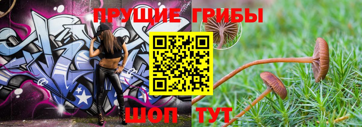 Златоуст  Галлюциногенные грибы мухоморы  Вход с VPN 