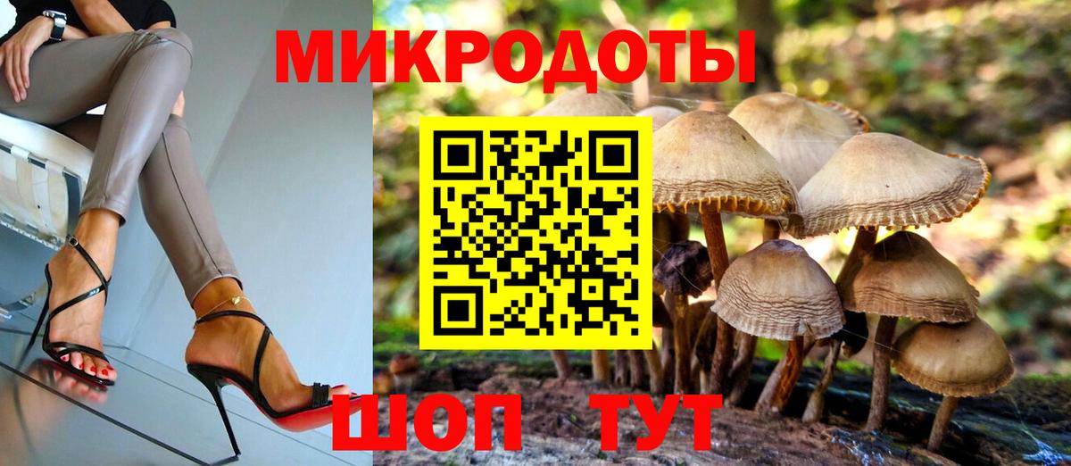 Псилоцибиновые грибы прущие грибы Златоуст